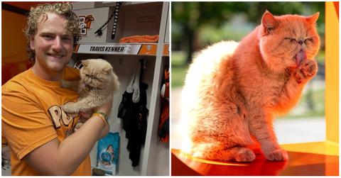 Meet Pudge the Cat's Fearless Owner