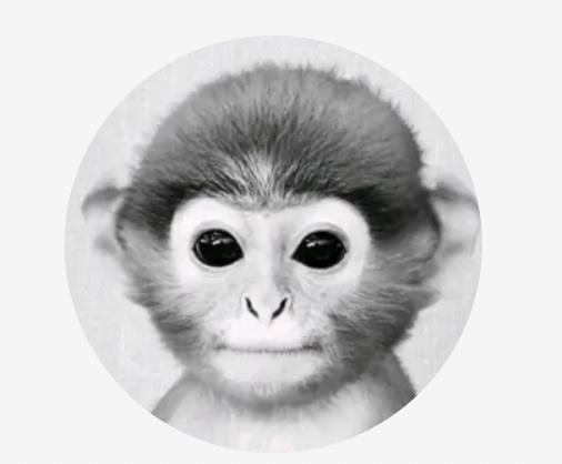 Lexica - Discord profile picture of a monkey wearing sunglasses