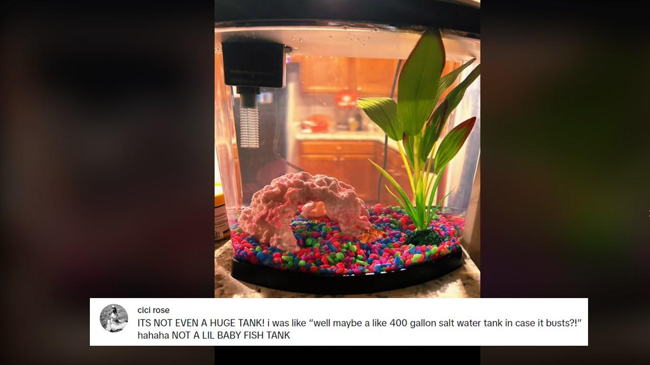 A woman was told she had to pay a $250 pet fee for her goldfish