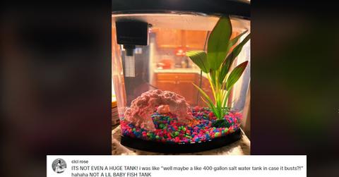 A woman was told she had to pay a $250 pet fee for her goldfish