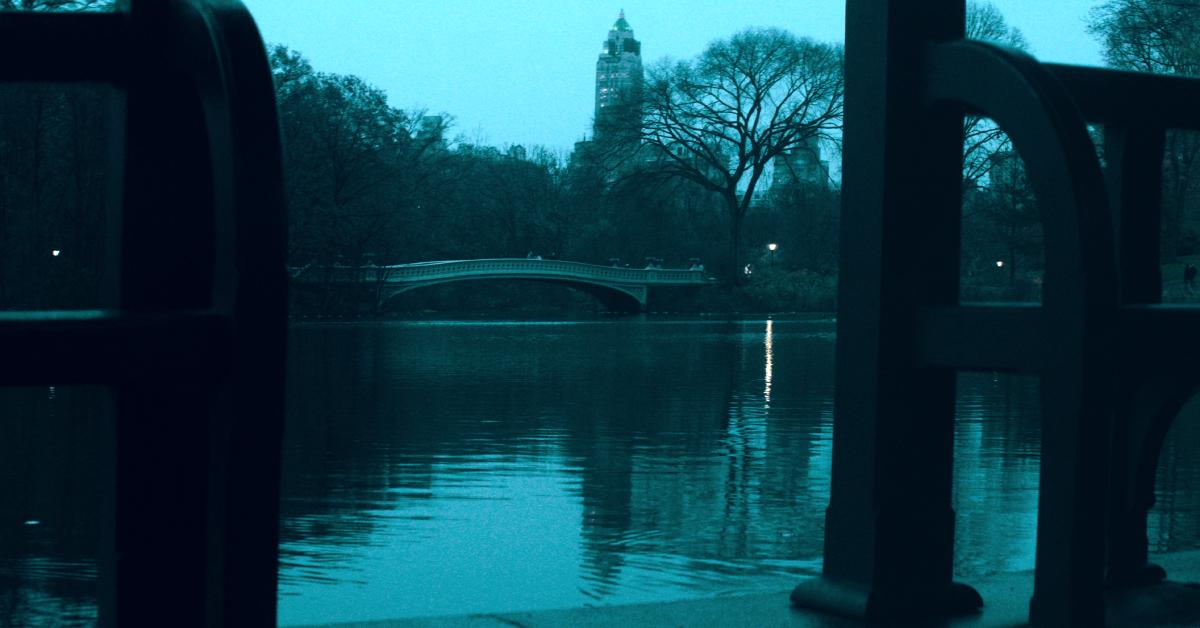 The Central Park Lake