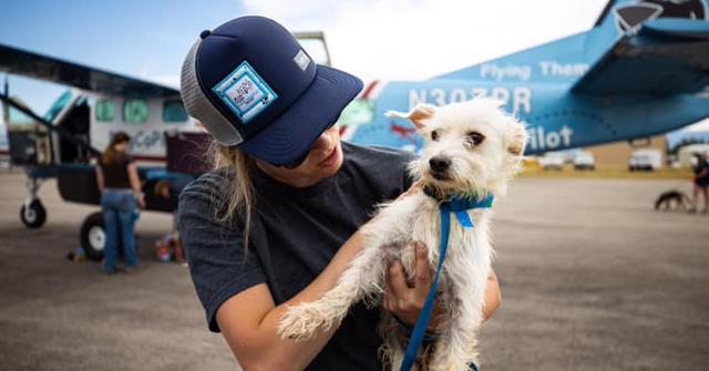 Pilot Saves Thousands of Animals by Flying Them to No-Kill Shelters