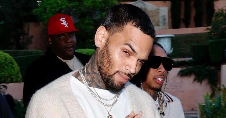 Chris Brown's Meet-and-Greet Tickets: The Best Reactions