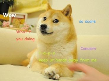 Doge Meme