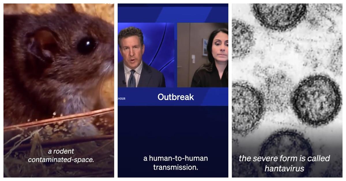 Will Hantavirus Become a Pandemic?