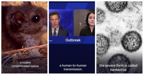 Will Hantavirus Become a Pandemic?