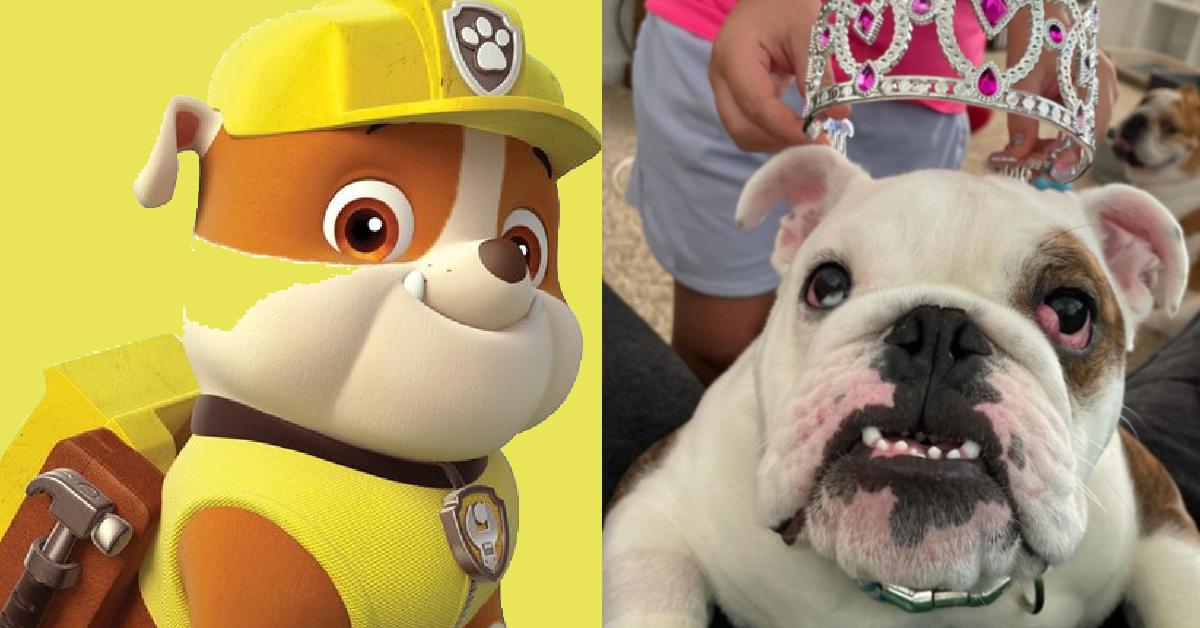 rubble paw patrol real life
