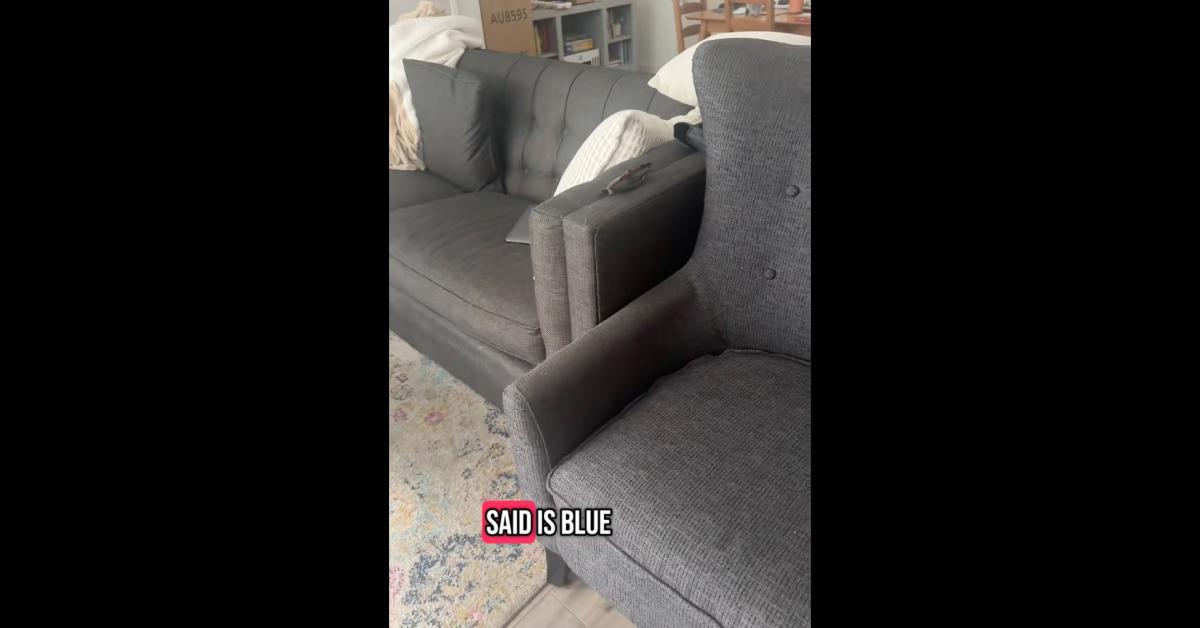 Woman on TikTok says her couch is blue but its gray.