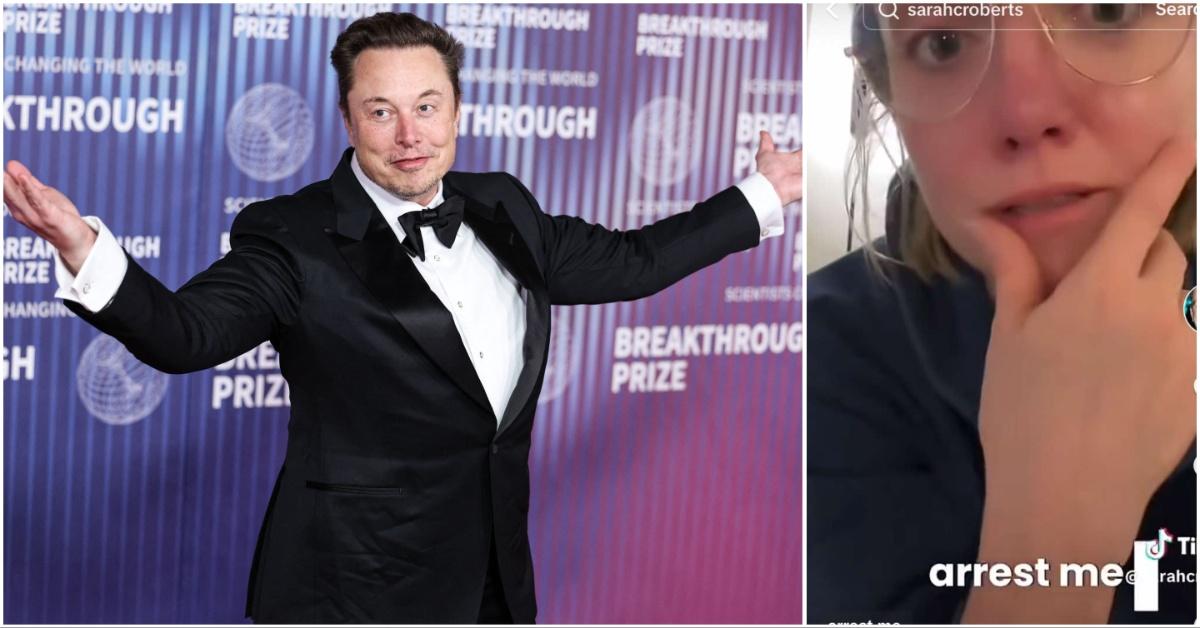 Elon Musk and Sarah Roberts Collage