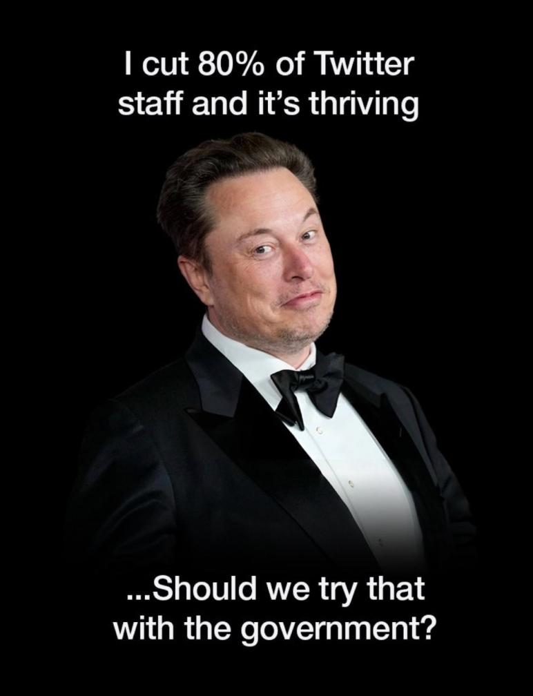 A Department of Government Efficiency meme featuring Elon Musk.