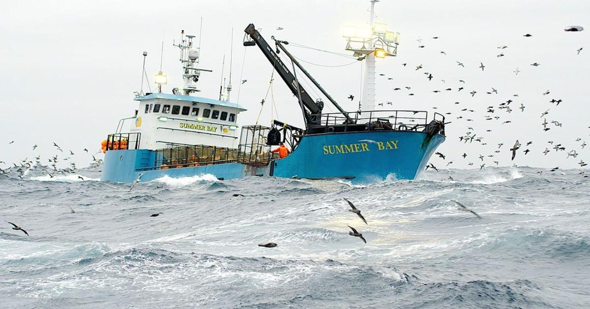 The Summer Bay ship at sea