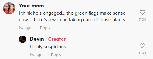 green flags red flags