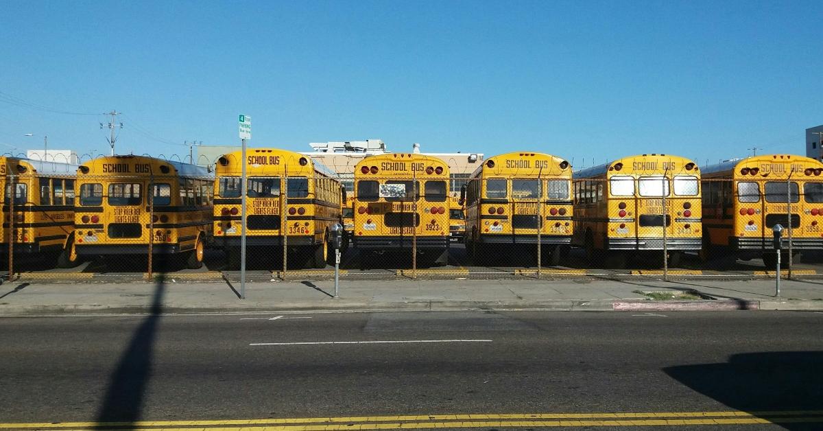 School busses in a parking lot