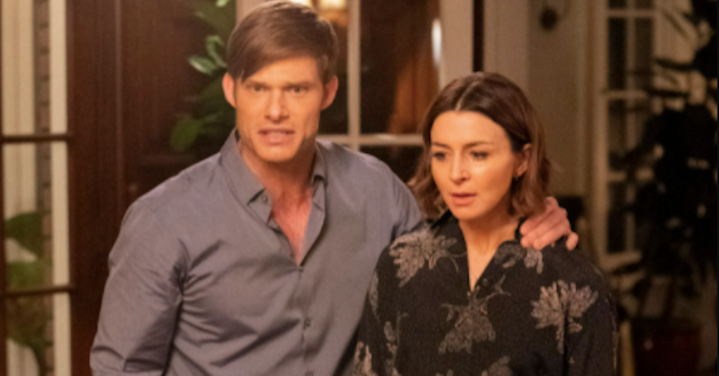 What Happened Between Amelia and Link on 'Grey's Anatomy'? Details