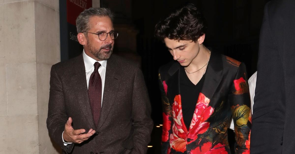 Steve Carell and Timothee Chalamet