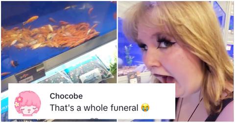 Dead fish in a PetSmart tank