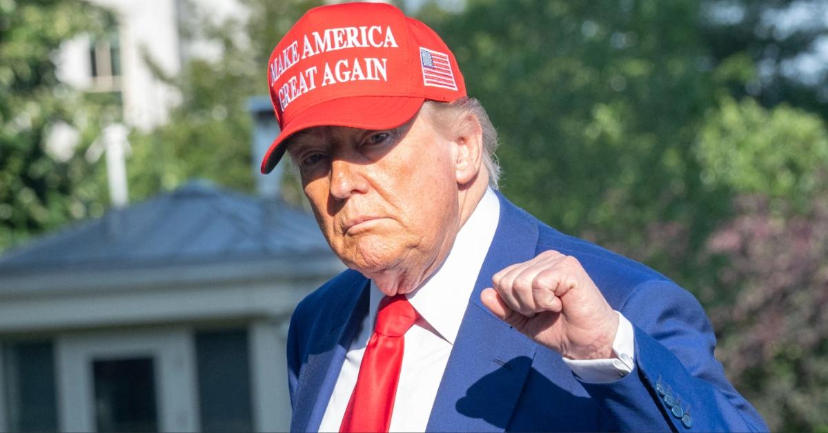 Donald Trump at the White House. 