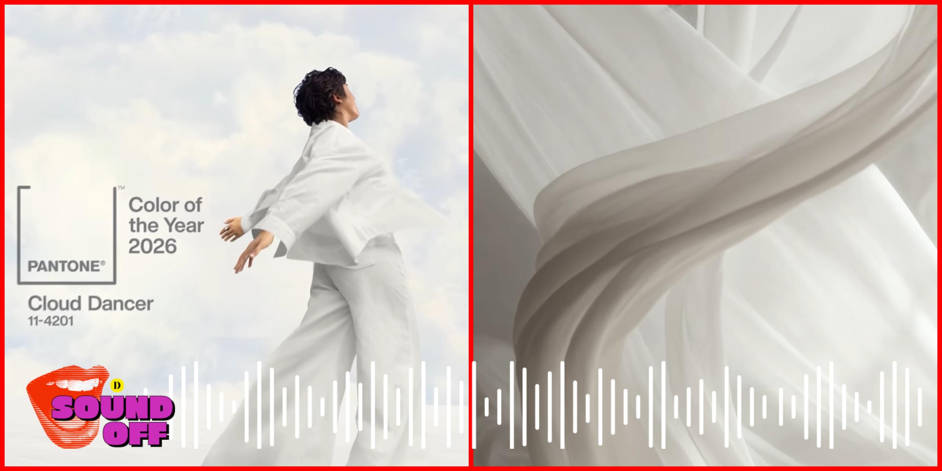 Addressing Pantone’s Color of the Year 2026 Controversy