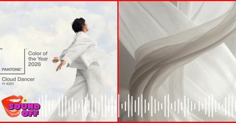 Addressing Pantone’s Color of the Year 2026 Controversy