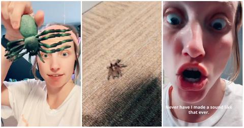 A woman accidentally picked up a real spider while cleaning her son's room