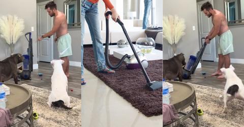Dog Owner Yells at Vacuum