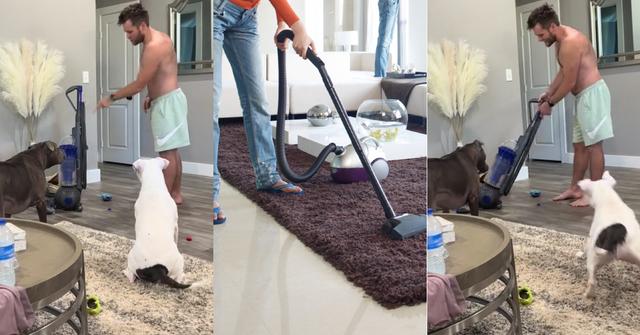 Dog Owner Yells at Vacuum