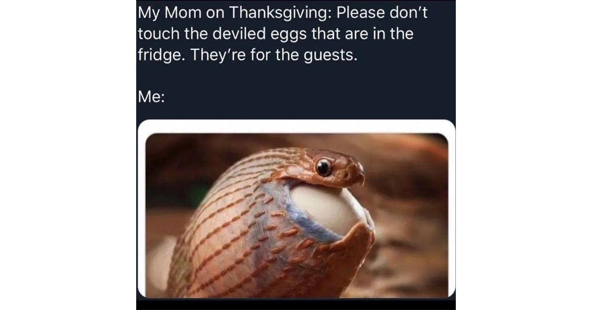 A funny Thanksgiving meme of a snake eating an egg like people eat deviled eggs
