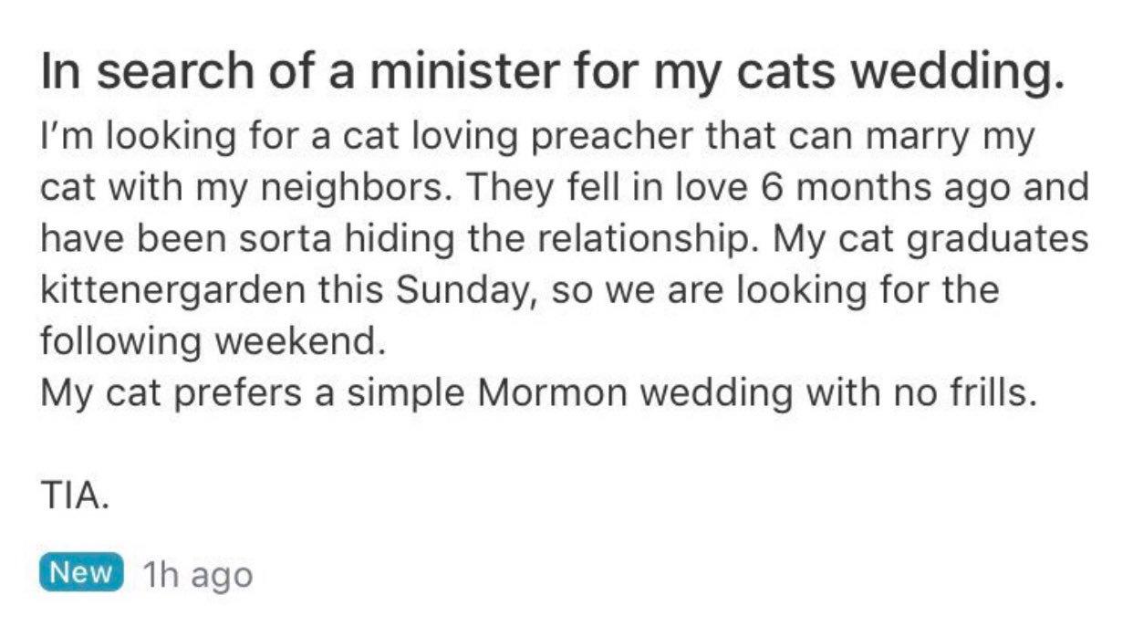 nextdoor app cat lady