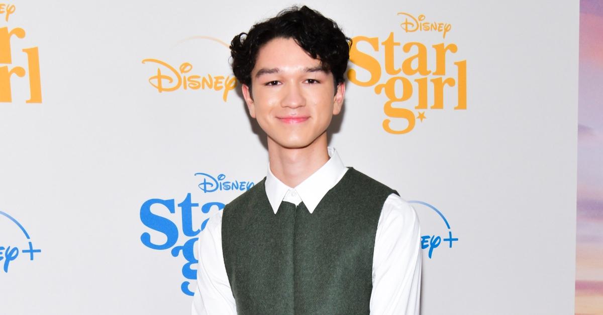 Percy Jackson' Disney Plus Cast: Meet the Actors