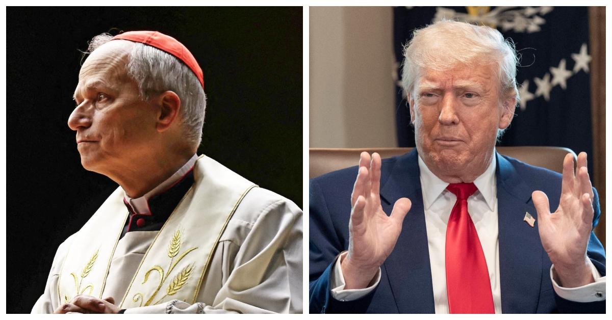 Pope Leo XIV, formerly Cardinal Robert Francis Prevost and President Donald Trump