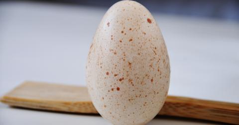 turkey-egg-1574795979542.jpg