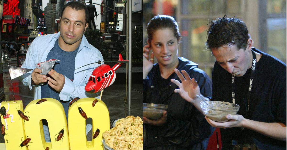 So Why Did 'Fear Factor' Get Canceled in the First Place? - Why Did Fear Factor Go Off The Air