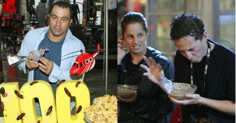 So Why Did ‘Fear Factor’ Get Canceled in the First Place?