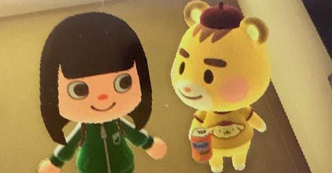 'Animal Crossing: New Horizons'