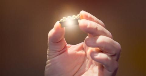 Will Arnett presents the Golden Brick on 'LEGO Masters'