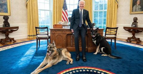 Joe, Major, and Champ Biden