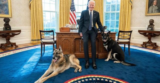 Joe, Major, and Champ Biden
