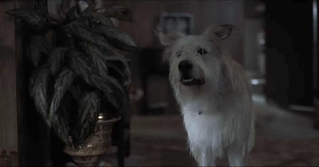 What Happened to Will Byers' Dog in 'Stranger Things'?