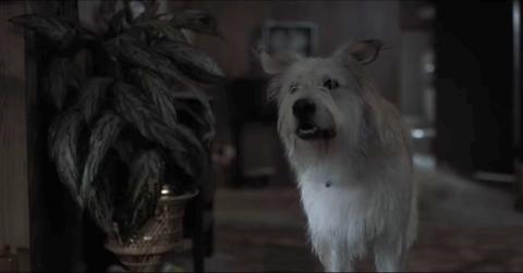 Chester in Season 1 of 'Stranger Things.'