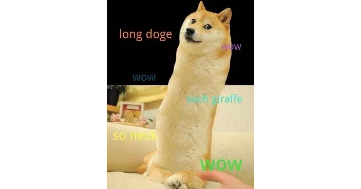 What Is The Long Doge Challenge It S Internet Silliness At Its Finest