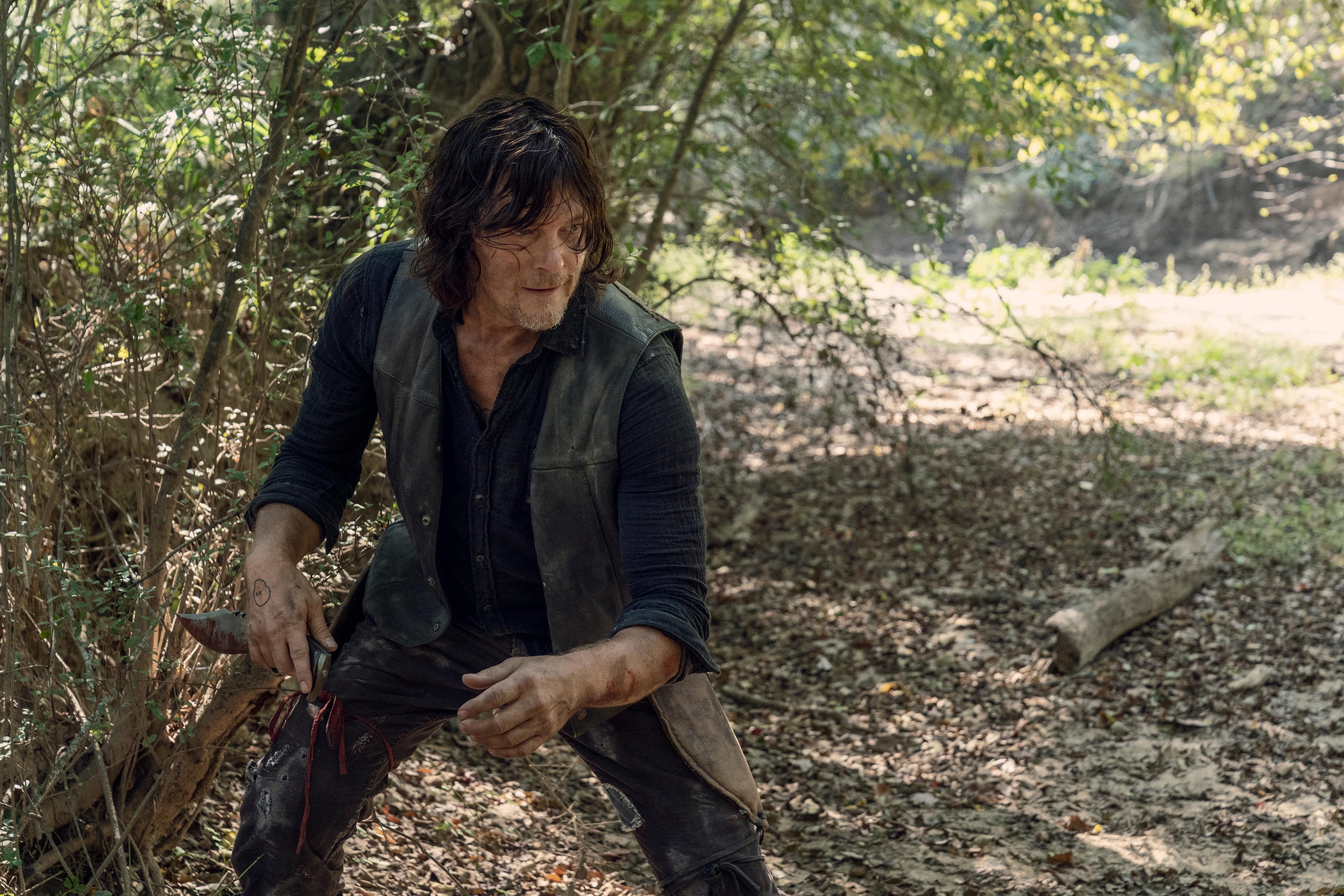 twd daryl