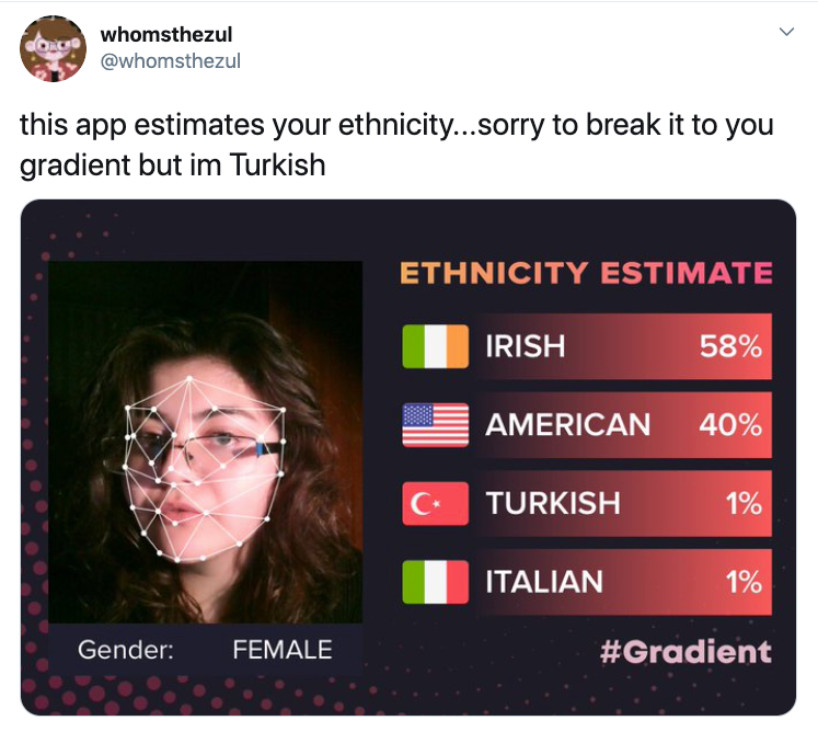 ethnicity estimate app photo free