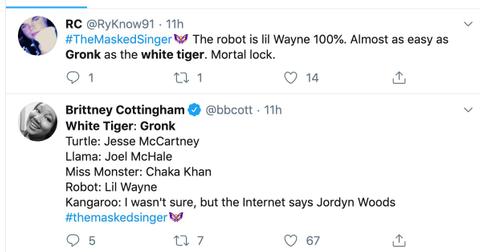 who-is-the-white-tiger-masked-singer-3-1580745897604.jpg