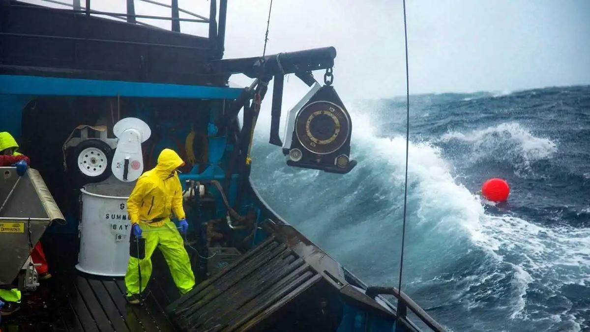 Deadliest catch  News, Sports, Jobs - Observer Today