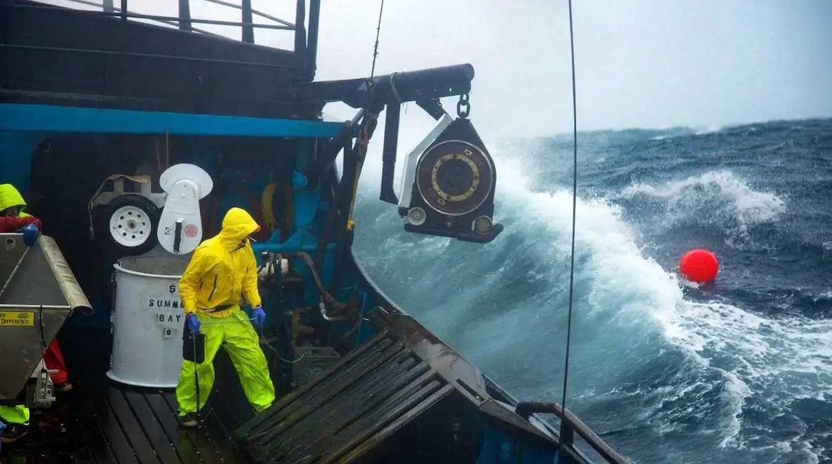 The Jobs on ‘Deadliest Catch,’ Explained