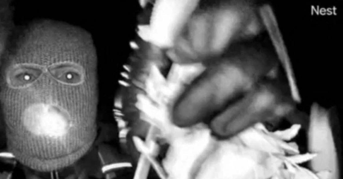 A still of surveillance footage from Nancy Guthrie's Nest. 