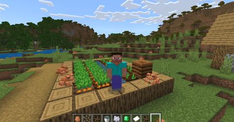 A 'Minecraft' player surrounded by frogs