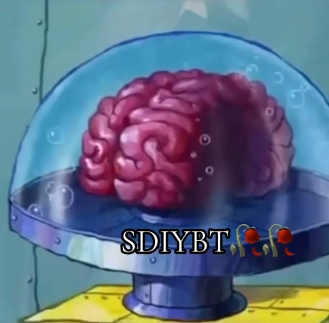 TikTok's "SDIYBT" trend