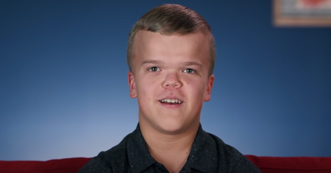 joose 7 little johnstons