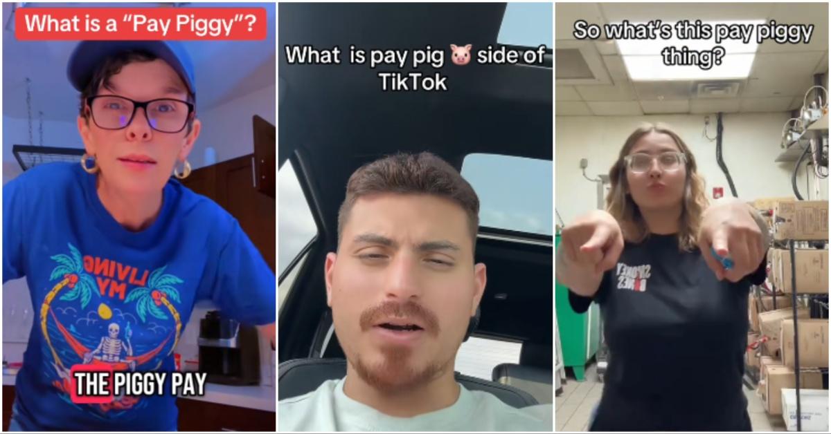 Video clips from TikTok about PayPig